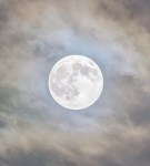 Full Moon Blue image